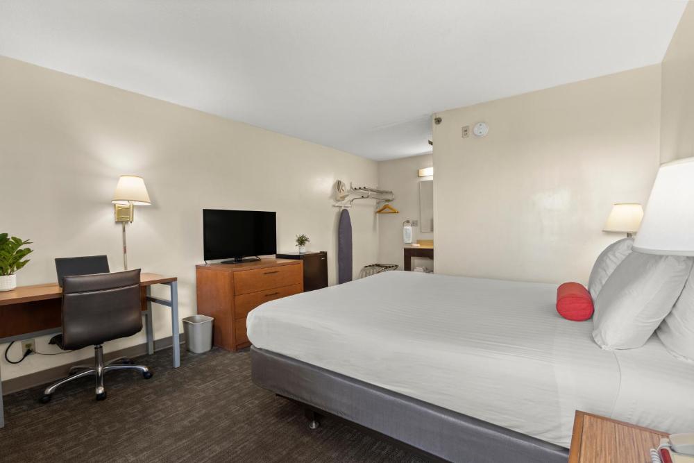 King Room interior